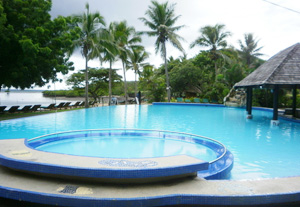 怎樣用吸污機對泳池有效去污？